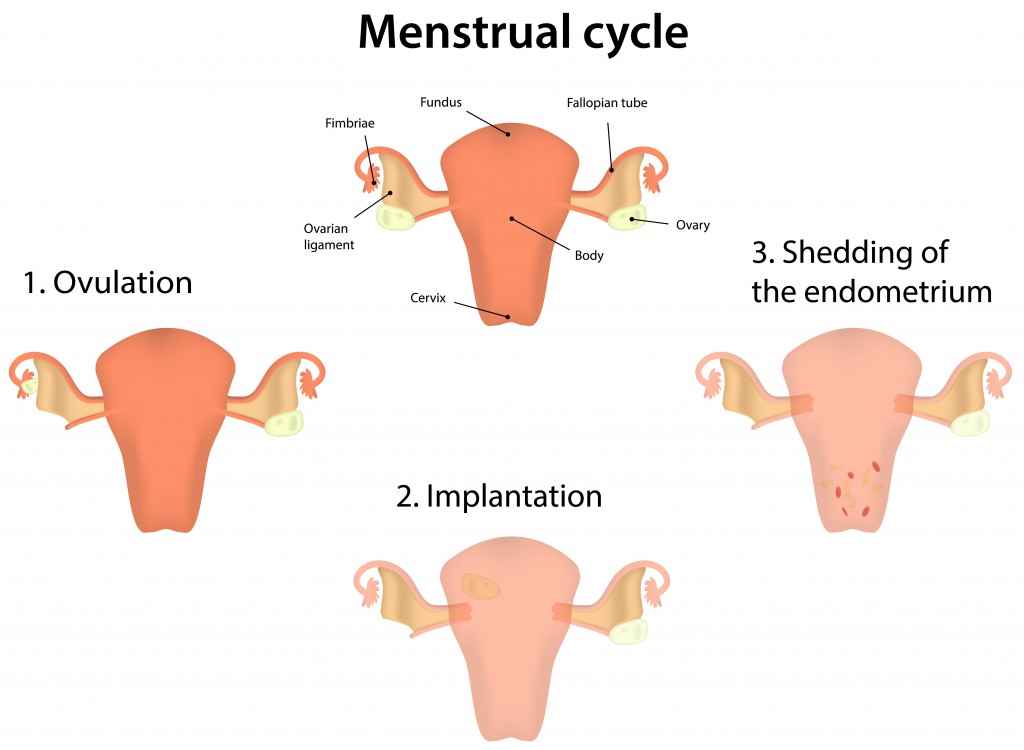 Natural Menstrual Cramp Remedies Severe Menstrual Cramp Treatment 